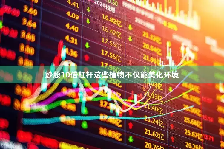 炒股10倍杠杆这些植物不仅能美化环境