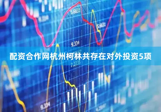 配资合作网杭州柯林共存在对外投资5项