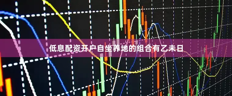 低息配资开户自坐养地的组合有乙未日